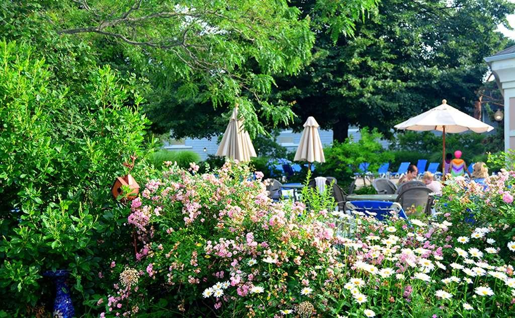 Margaritaville Resort Cape Cod Hyannis Zařízení fotografie